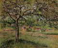 pommier à eragny 1884 Camille Pissarro paysage